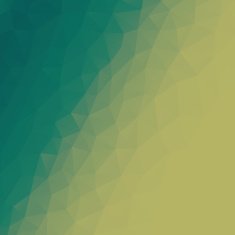 Polygon Vector Background N66