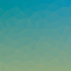 Polygon Vector Background N91