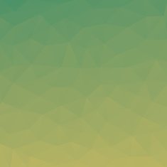 Polygon Vector Background N93