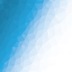 Polygon Vector Background N134