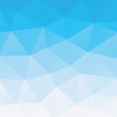 Polygon Vector Background N188