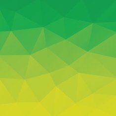 Polygon Vector Background N190