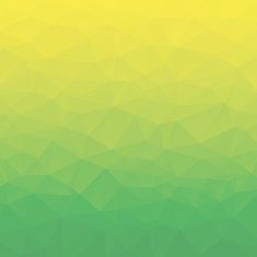 Polygon Vector Background N253