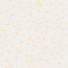Polygon Vector Background N257