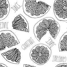 Grapefruit hand drawn doodle seamless pattern N4