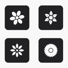 Vector modern flower icons set