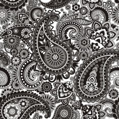 paisley N63