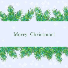 Sweet Christmas greeting card with fir twigs N4