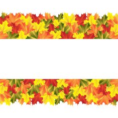 background autumn maple leaves N2