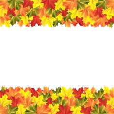 background autumn maple leaves N3
