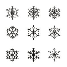 vector set of snowflakes