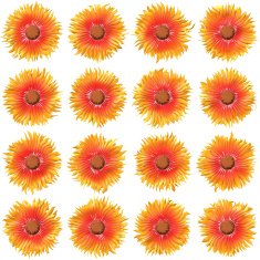 Bloom set generated texture
