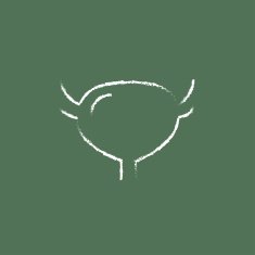 Urinary bladder icon drawn in chalk