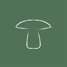 Mushroom icon drawn in chalk