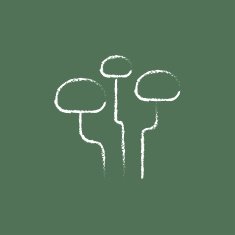 Mushroom icon drawn in chalk N2