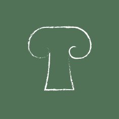 Mushroom icon drawn in chalk N3