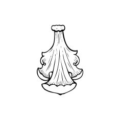 traditional hand drawn floral swirl N19