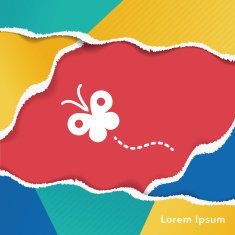 Butterfly Icon N3