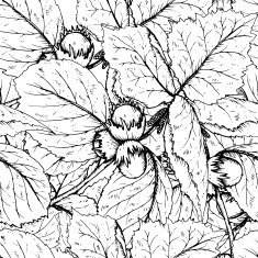 Decorative seamless pattern with hazelnuts and leaves