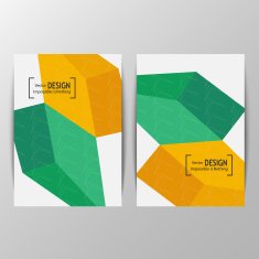 Flyer or Cover Design N61