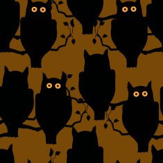 Owls sitting on a branch
