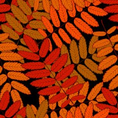 rowan leaf N2