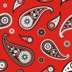 paisley N89