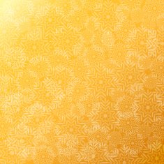 Vector christmas greeting background N2