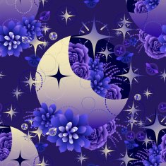 Moon with succulent design among stars N4