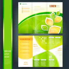 Business Brochure Template N13