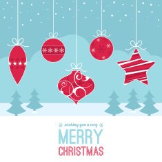 Christmas Baubles with Winter Background N3