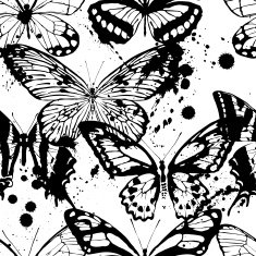 Seamless background of butterflies black and white colors Vector illustration