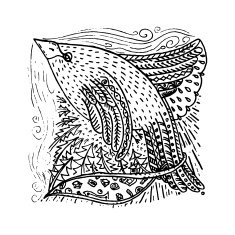 Zentangle decorative drawing N2