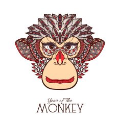 Monkey Color Face N2