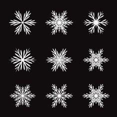 Collection of White Snowflakes Black Background