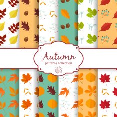 Autumn seamles backgrounds set
