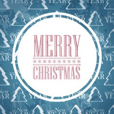 Merry Christmas Card N66