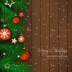 Merry Christmas And Happy New Year N27