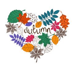 Colorful Patterned Autumn Leaves In A Heart Shape