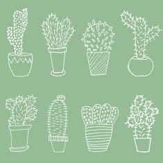 Cactus set