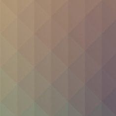 Low polygon Triangle Pattern Background N398