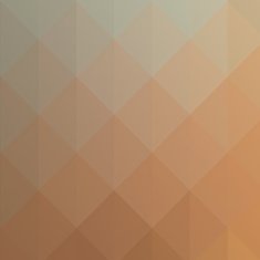 Low polygon Triangle Pattern Background N399