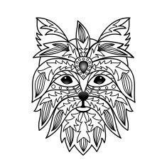 Ornamental Yorkshire terrier N2