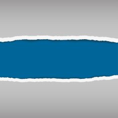 vector of ripped open paper N2