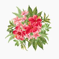 Bouquet of tropical flowers N3