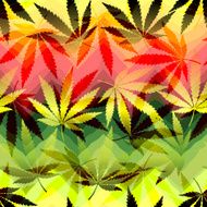 Hemp leaves on chevrones background N2