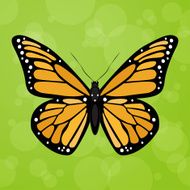 Vector summer background butterfly