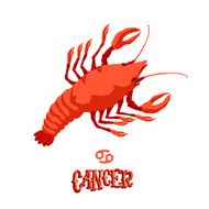 Astrological zodiac sign Cancer Isolated vector illustration on white background N2