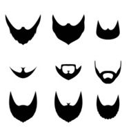Set of beard on white background N2