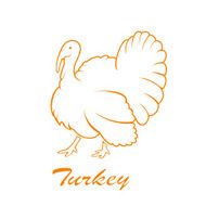 Turkey icon